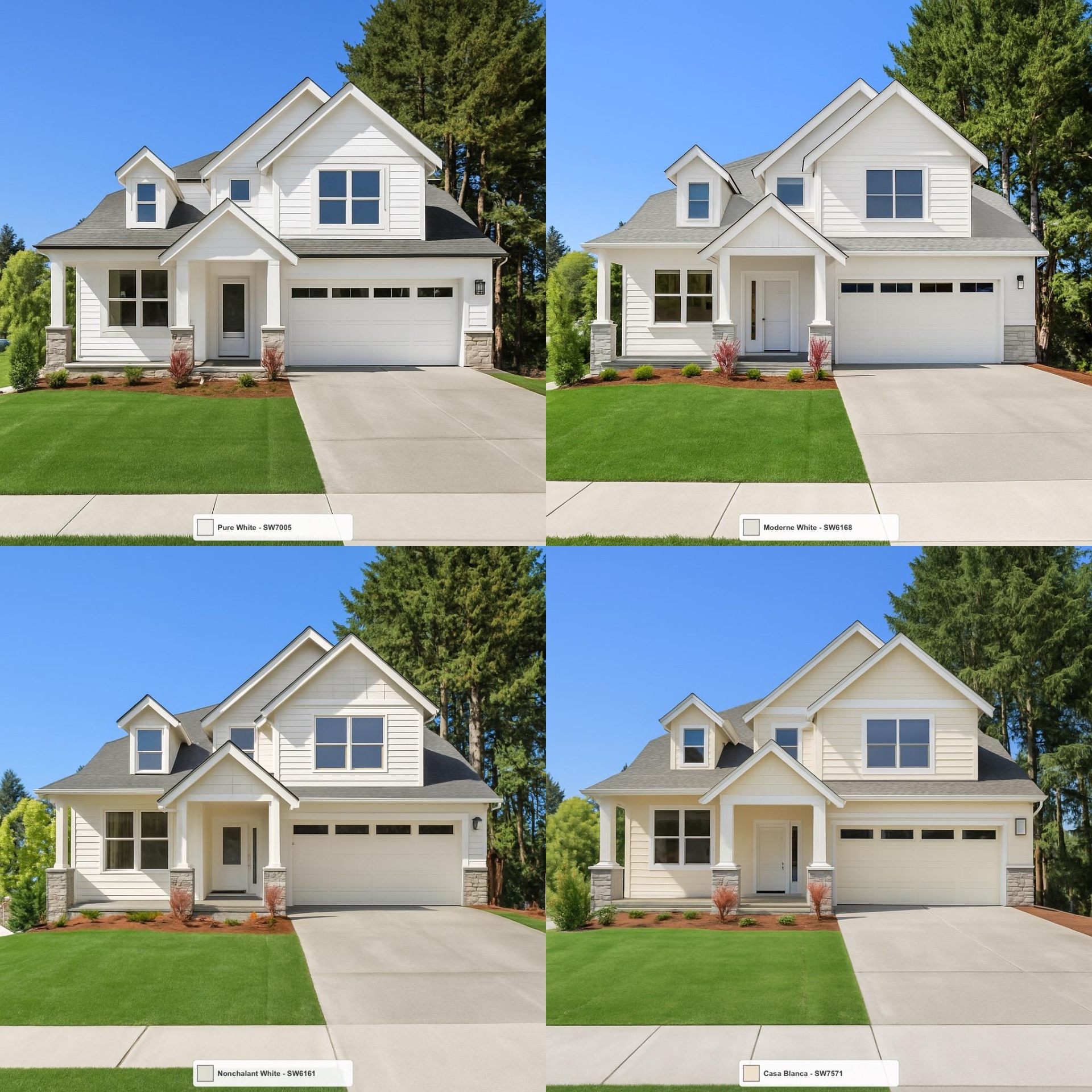 White Color Code House house-painter-ai